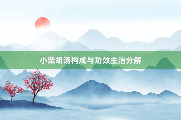 小柴胡汤构成与功效主治分解